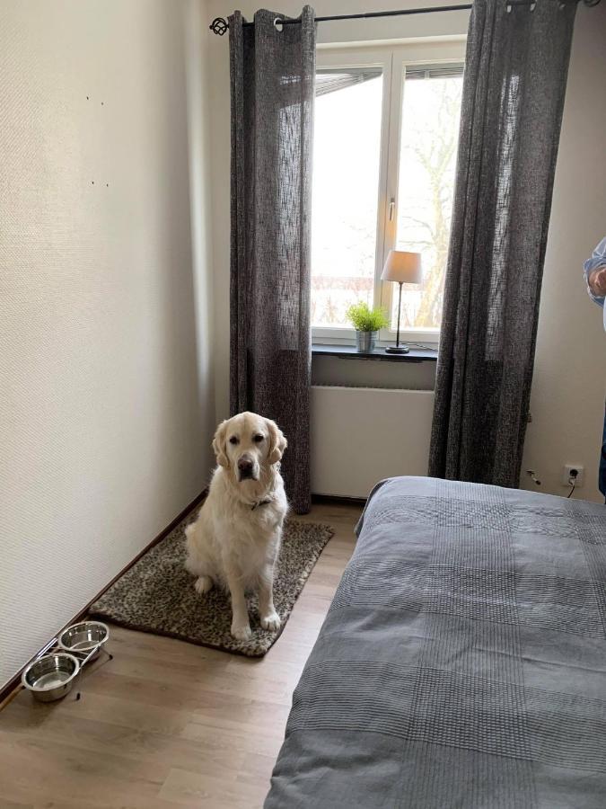 Bralanda Hotell Och Vandrarhem エクステリア 写真